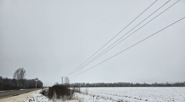 снт Раменье Дмитровский городской округ фото