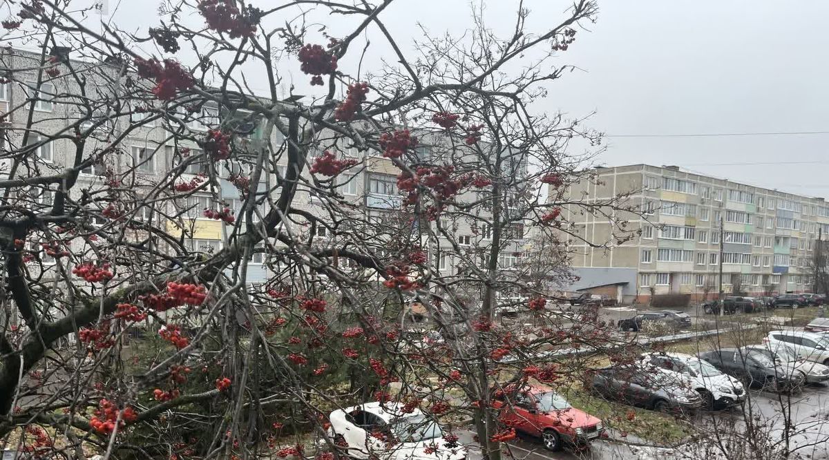 квартира городской округ Коломенский п Биорки 8, Коломна городской округ фото 11