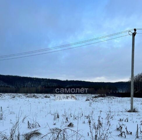 д Богомоловка ул Садовая сельсовет, Алкинский фото