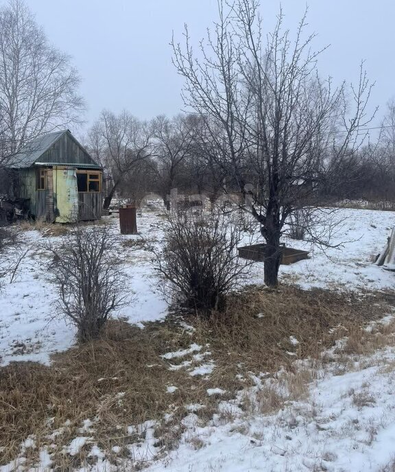 земля г Хабаровск р-н Железнодорожный снт Им. Мичурина фото 8