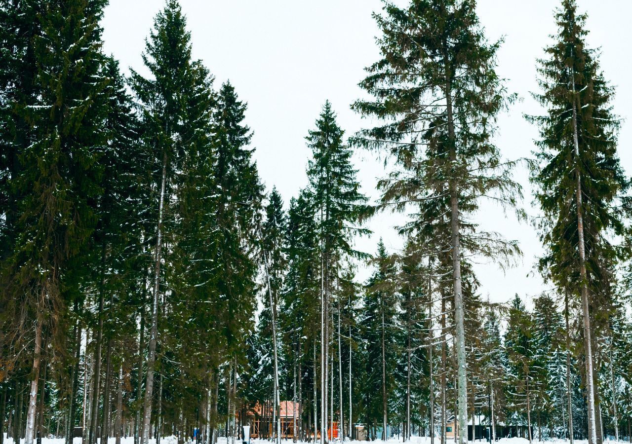 земля городской округ Истра п Глебовский 50 км, д. Петрово, г. о. Истра, Волоколамское шоссе фото 18