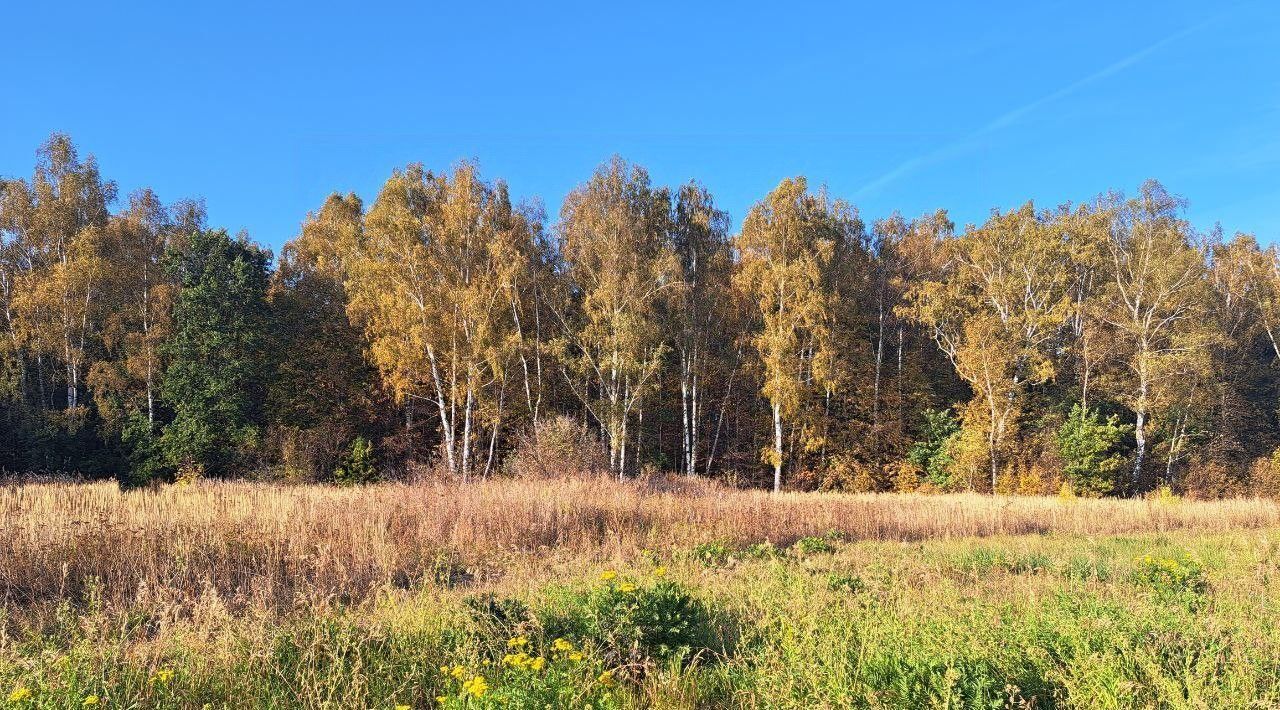 офис городской округ Кашира п Никулино фото 1