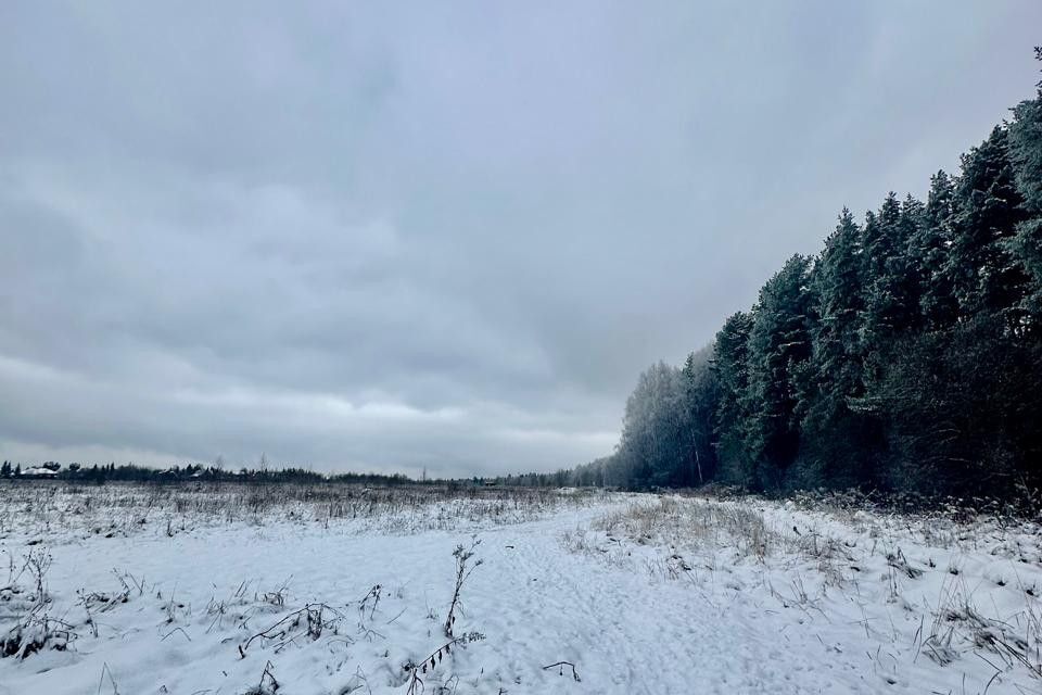 земля городской округ Наро-Фоминский КП Кедрица фото 4