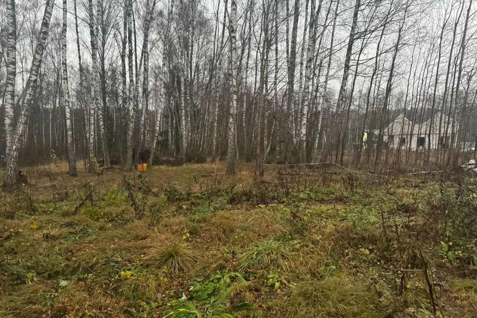 земля г Домодедово д Минаево Южный парк, Домодедово городской округ фото 4