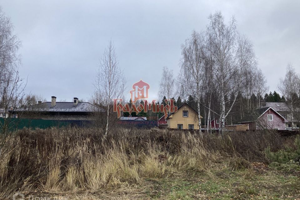 земля городской округ Пушкинский п Зеленоградский снт Зеленоградский Полянка м-н фото 3