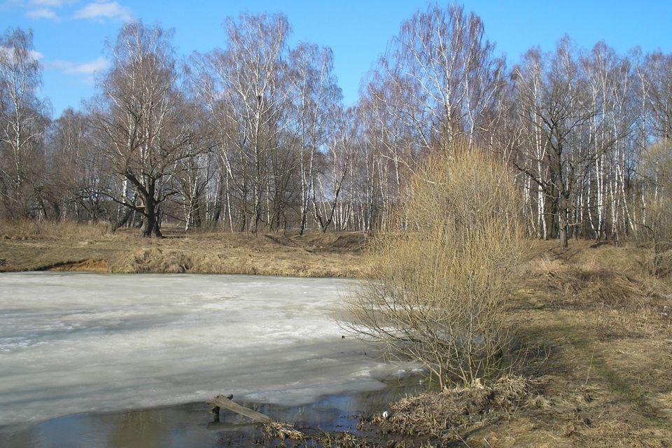 земля городской округ Ступино д. Нивки фото 8