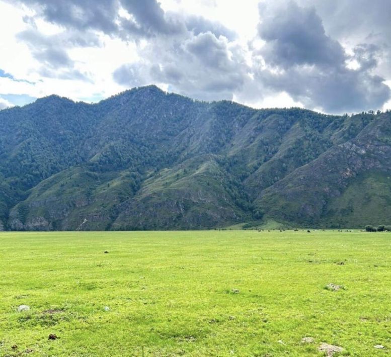 земля р-н Чемальский с Чемал фото 2