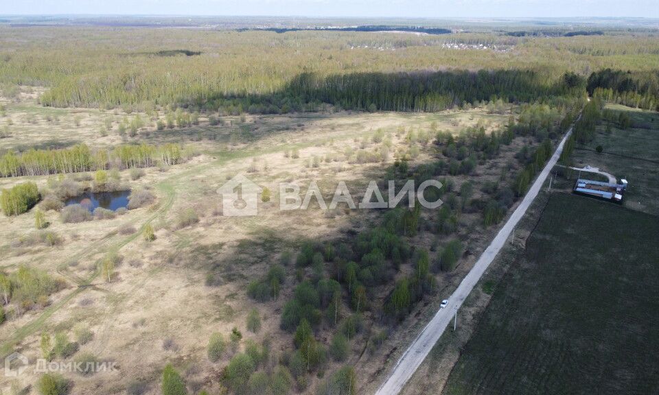 земля р-н Суздальский фото 4