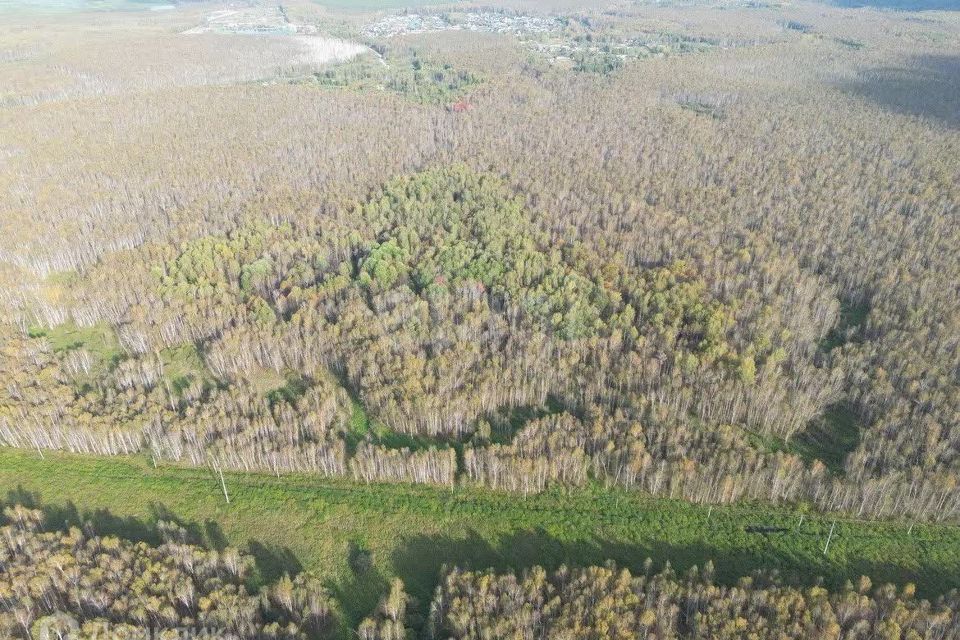 земля р-н Нижнетавдинский снт Сундукуль ул Малиновая фото 4