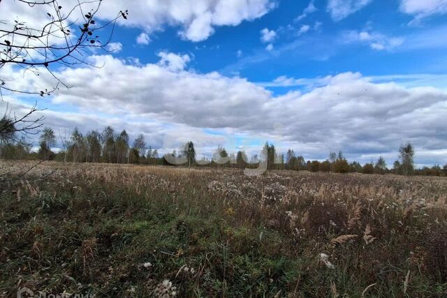 городской округ Кострома, Фабричный фото