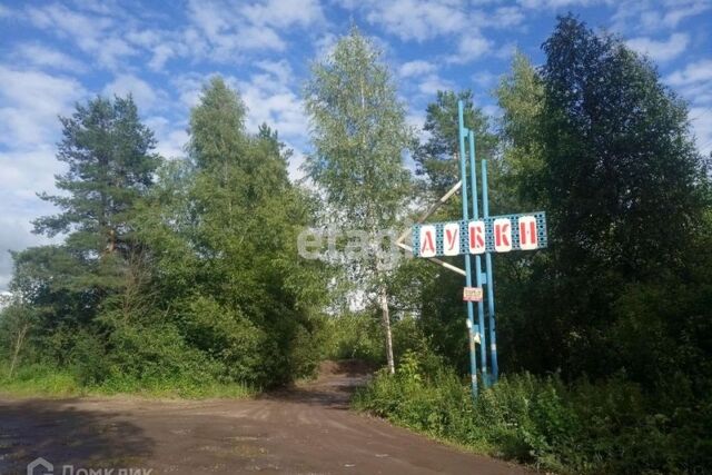 Кострома городской округ, СНТ Дубки фото