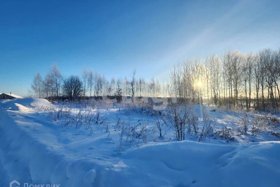 земля р-н Костромской Дьяконово фото 4