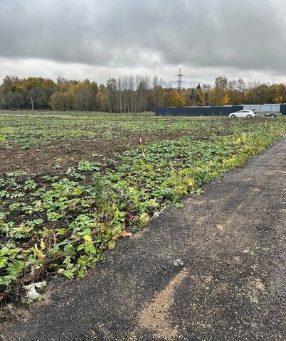 земля коттеджный поселок «Сорочаны» городской округ Клин фото