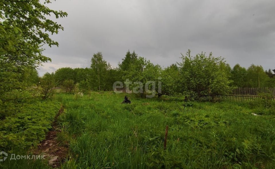 дом р-н Судиславский Асаново фото 6