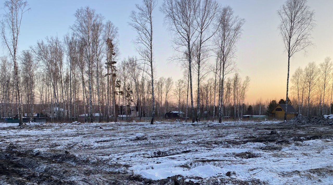 земля р-н Новосибирский снт Вера Барышевский сельсовет фото 12