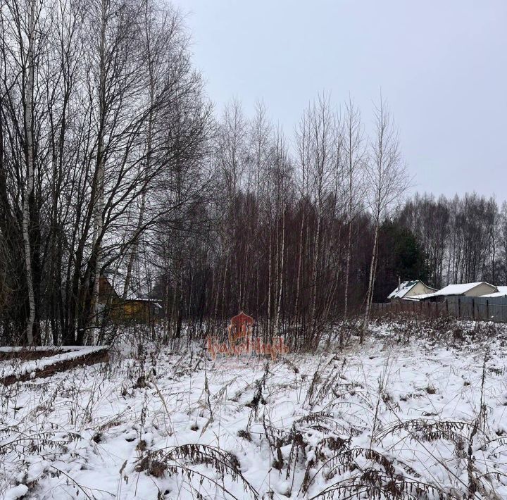 земля городской округ Дмитровский д Савелово 22 фото 6