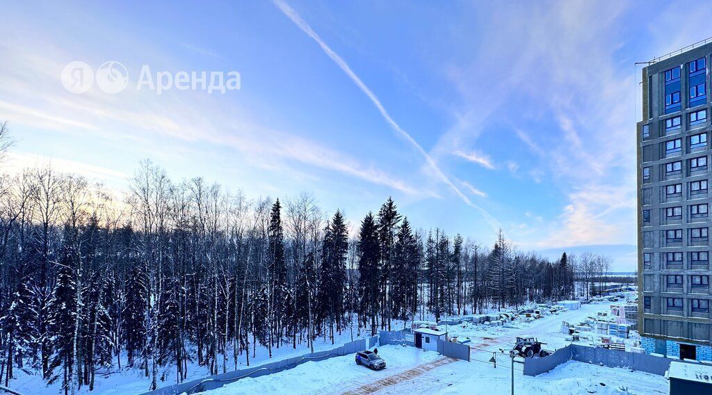 квартира г Санкт-Петербург метро Комендантский Проспект ул Планерная 97к/2 ЖК New Time округ Юнтолово фото 12