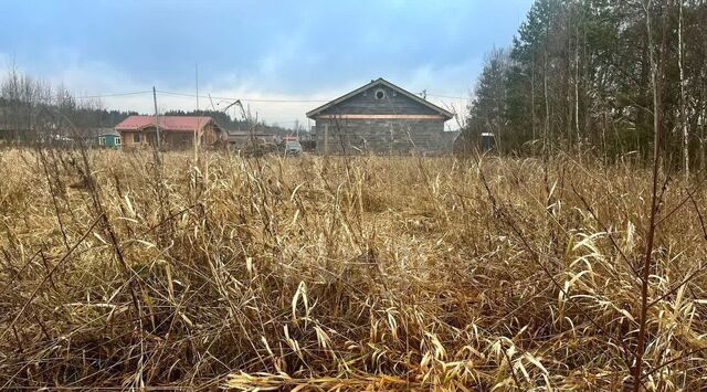 снт тер.Островки-Пороги Свердловское городское поселение, пос. Островок счастья, 4 фото