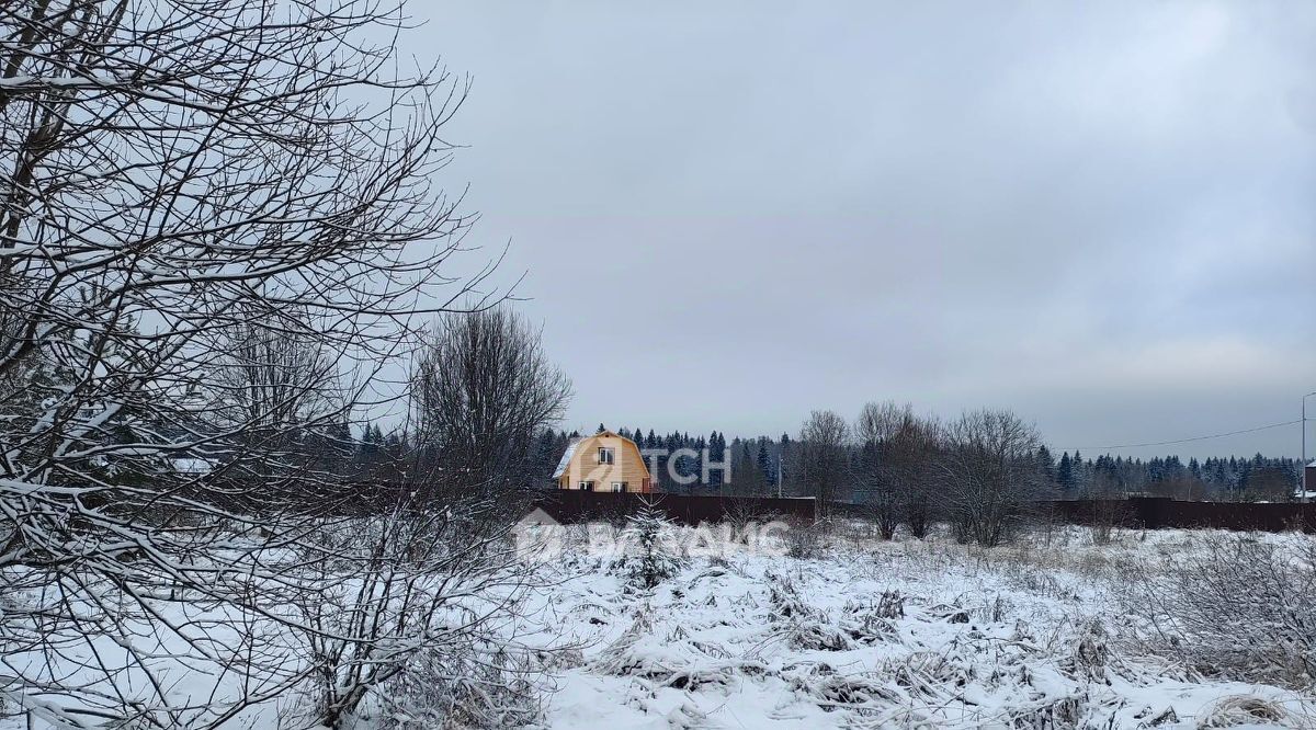 земля городской округ Щёлково д Новопареево ул. 1-я Амеревская фото 3