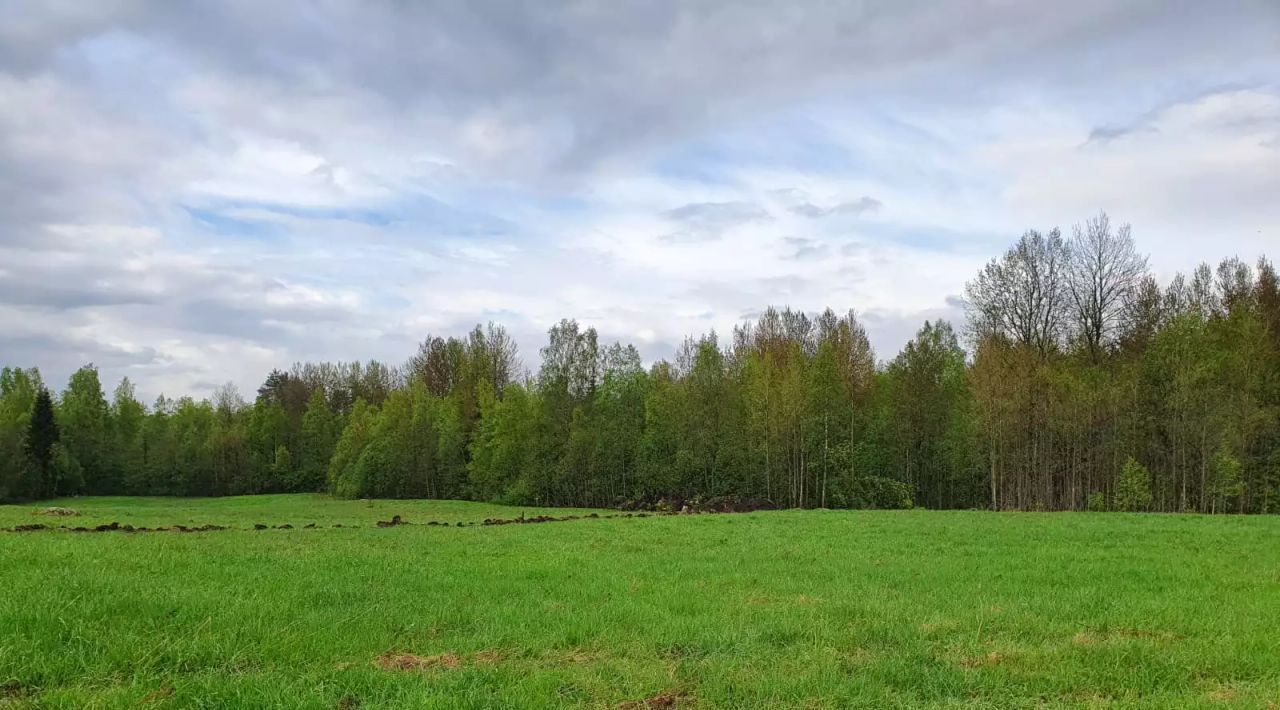 земля р-н Приозерский д Васильево ул Лыжная с пос, Красноозерное фото 3