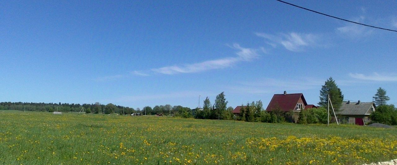 земля р-н Волосовский д Греблово Клопицкое с/пос, Проспект Ветеранов фото 6