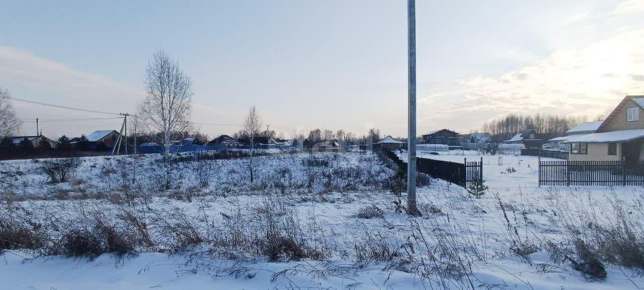 земля г Кемерово ул Совхозная 15 Берёзовское территориальное управление, Берёзово фото 7