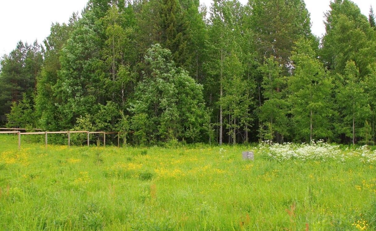 земля городской округ Ленинский п Горки Ленинские 10 км, Видное, Новокаширское шоссе фото 2