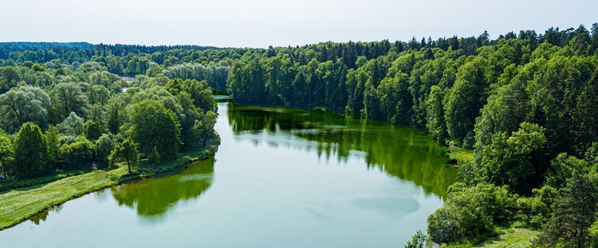 земля городской округ Ступино д Шелково ул Центральная фото 3