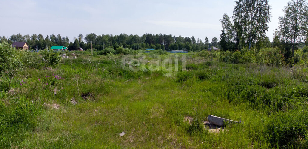 земля р-н Нижнетавдинский с Тюнево ул Новогодняя фото 1