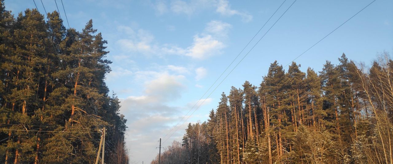 дом городской округ Чехов д Чудиново снт Лесовод ТСН, 80 фото 13