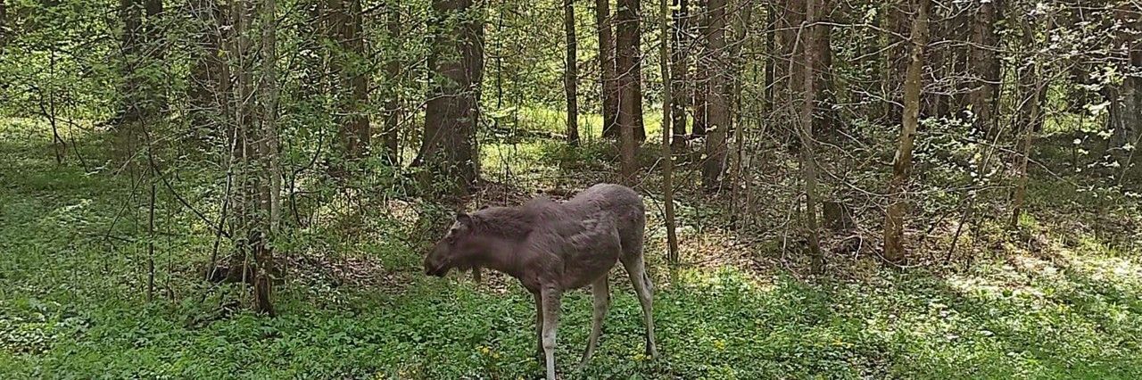 земля р-н Городецкий Федуринский сельсовет фото 2