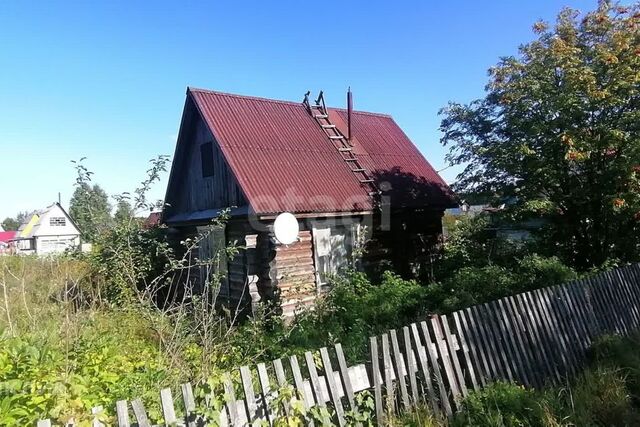 Сыктывкар городской округ, СНТ Черёмушки 2 фото