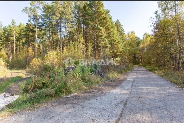 ул Лесная Тобольск городской округ фото