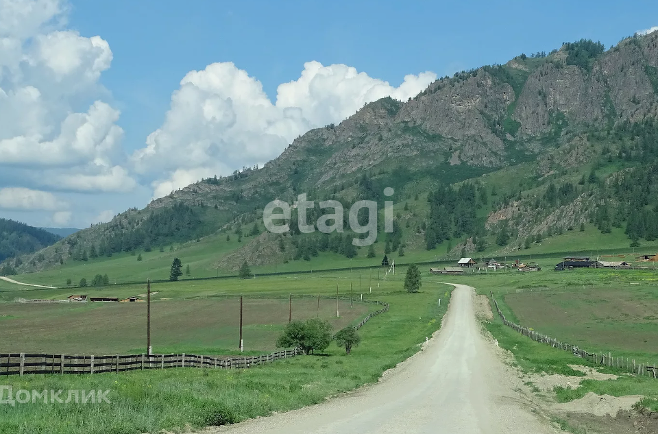 земля р-н Усть-Коксинский Тихонькая фото 2