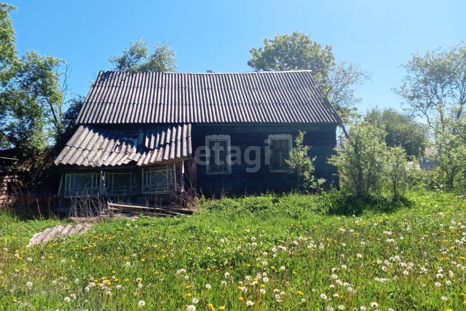 земля р-н Гдовский д Партизанская Заречная фото 2