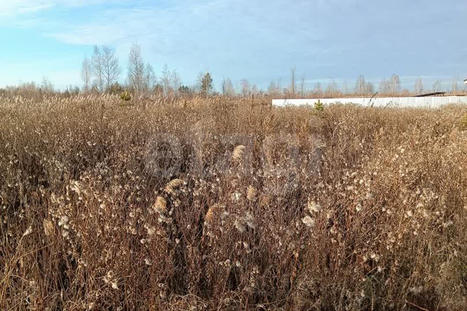 земля г Тюмень снт Липовый остров ул Западная 12-я Тюмень городской округ фото 6