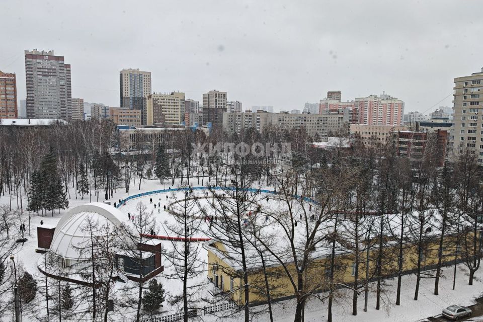 квартира г Новосибирск р-н Центральный ул Мичурина 9 Новосибирск городской округ фото 4