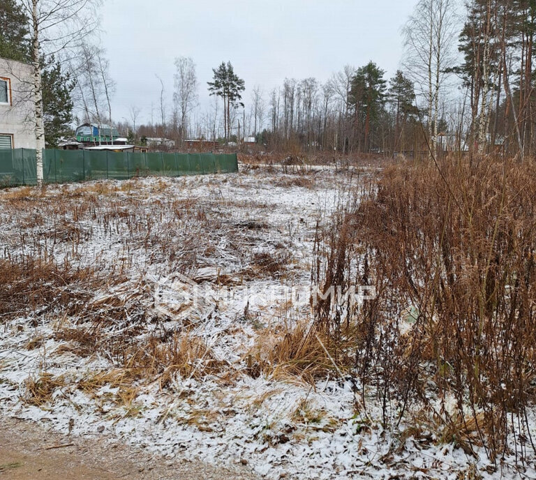 земля р-н Ломоносовский Лебяженское городское поселение, городской посёлок Лебяжье фото 6