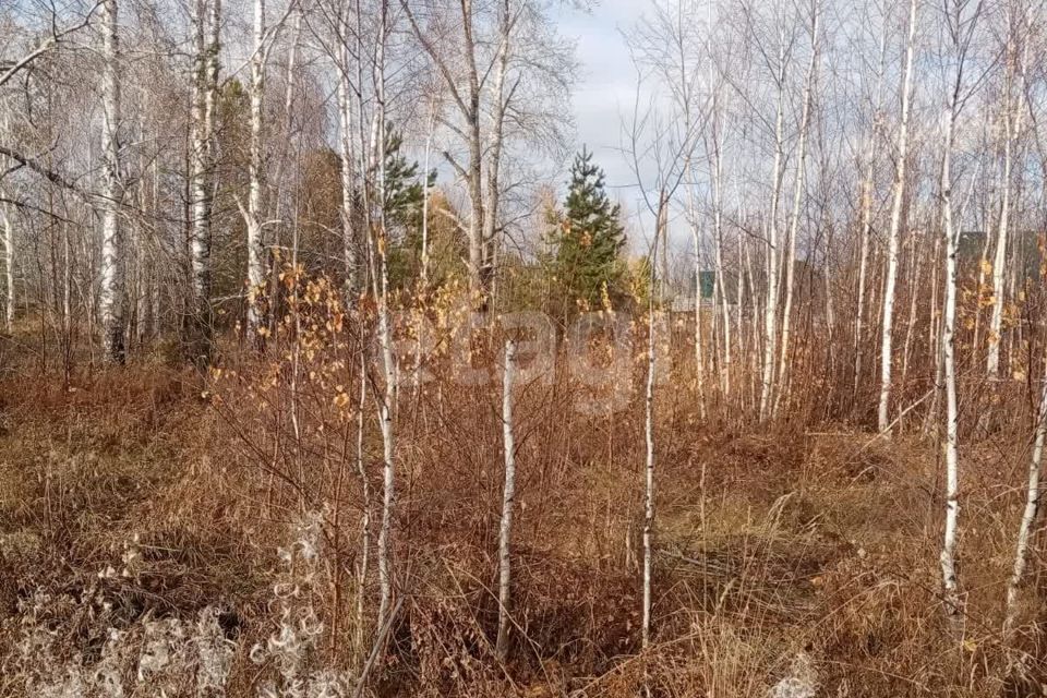 земля р-н Пригородный Шумиха фото 10