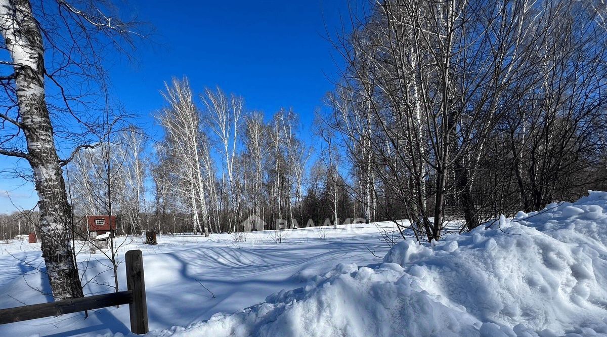 земля р-н Искитимский Морозовский сельсовет, Успех СПК фото 10