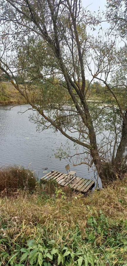 дом р-н Ярославский д Девятово Курбское сельское поселение, Дубки фото 15