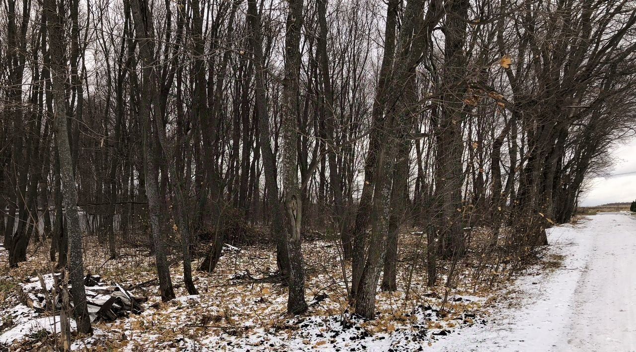 земля р-н Пензенский с Большая Валяевка Воскресеновский сельсовет фото 3