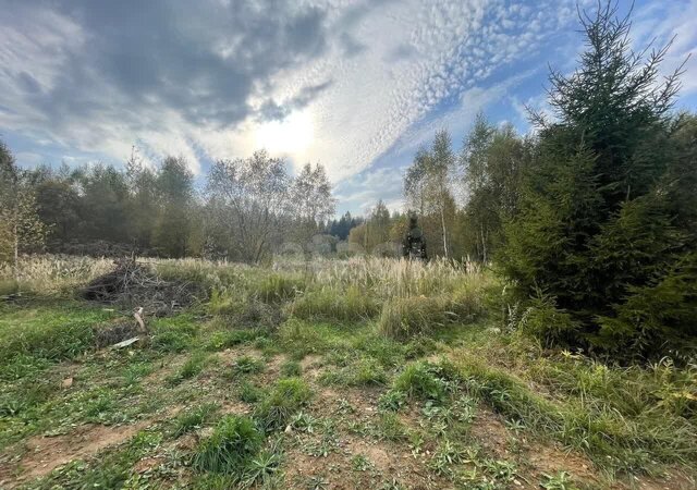 земля п Щаповское пер 3-й Двинский 16 ТиНАО 22 км, ДНП Европейская Долина-2, Московская область, городской округ Истра, Троицк, направление Курское (юг), Калужское шоссе фото