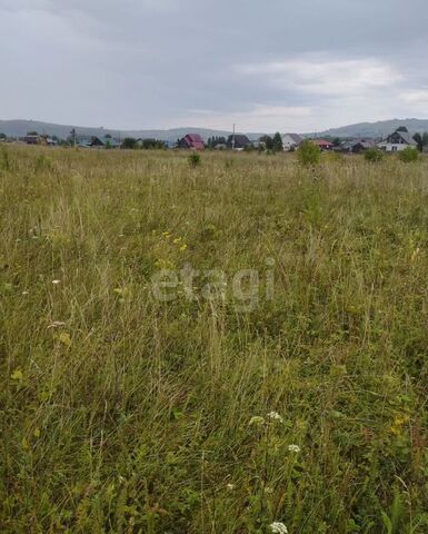 Республика Алтай, Майма фото