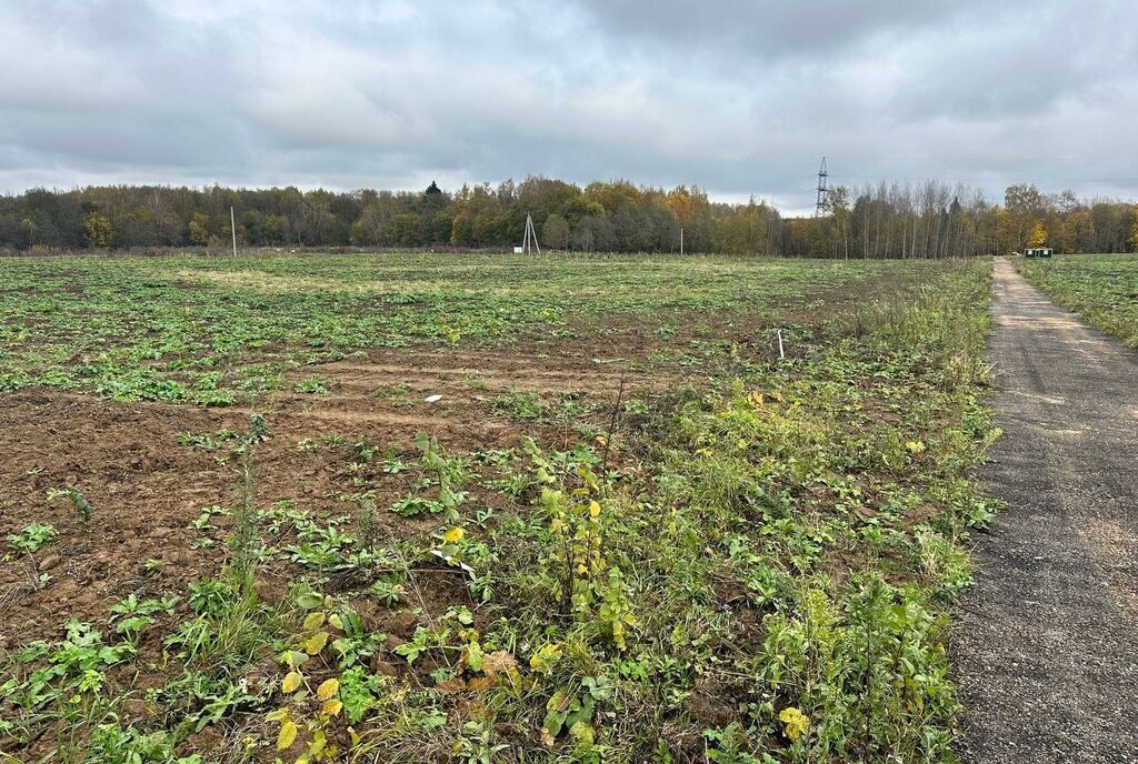 земля городской округ Дмитровский коттеджный поселок «Сорочаны» городской округ Клин фото 30