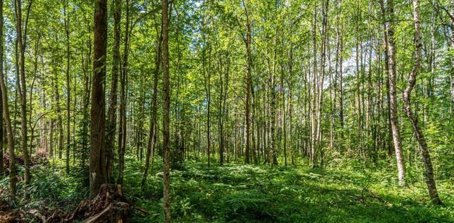 ул Майнило 67 пос, Первомайское с фото