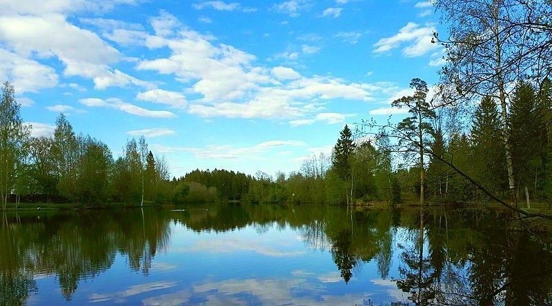 дом р-н Всеволожский д Вартемяги ул Угловая 3 Агалатовское с/пос, Вартемяги парк 4 кп фото 39