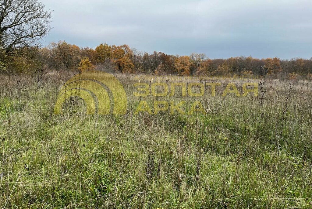 земля р-н Крымский ст-ца Варениковская фото 2