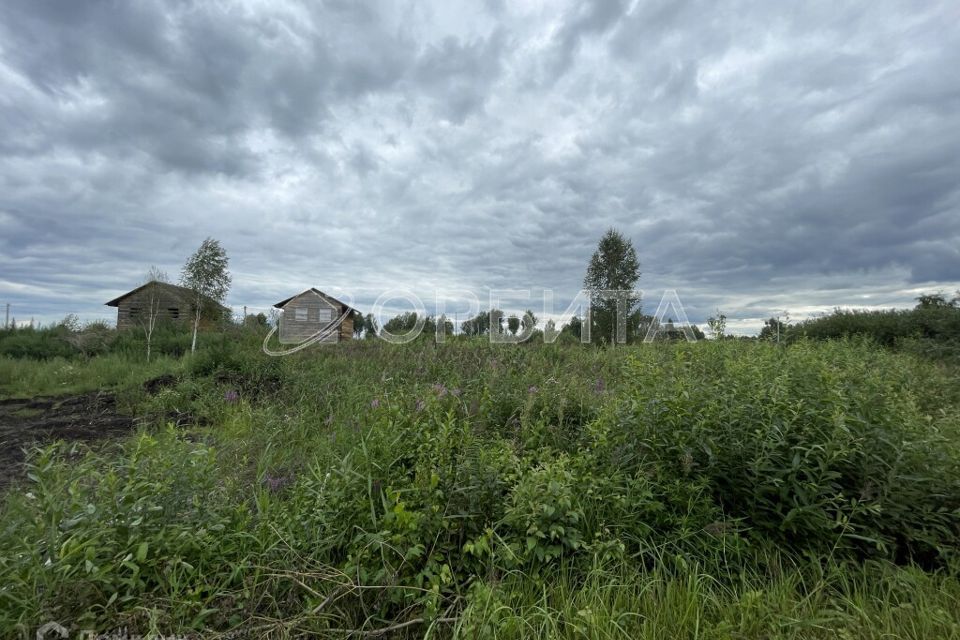 земля г Тюмень городской округ Тюмень, СНТ Березняки фото 5