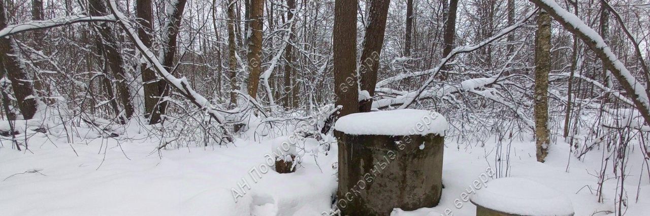 дом городской округ Рузский СТСН, Родник фото 14